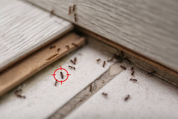 Normal, IL Pest Control Company